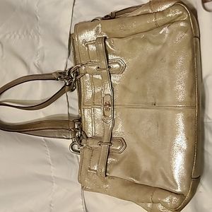 COACH Chelsea Jayden Platinum Metallic Leather Carryall Bag Tote Nickel Hardware